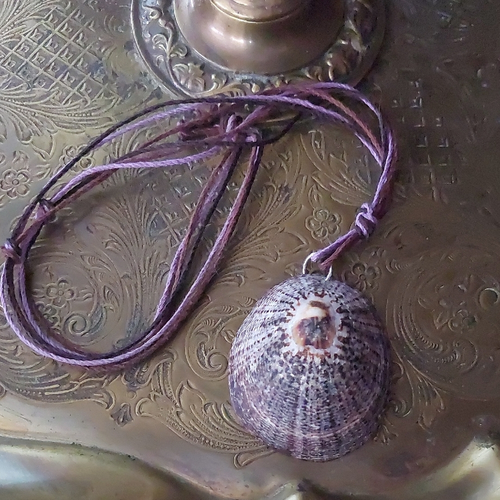 Hand Crafted Shell Necklace